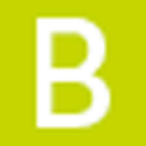 BURO HAPPOLD LIMITED logo